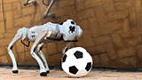 Al MIT hanno creato il Leo Messi dei robot: dribbla tutti su qualsiasi terreno