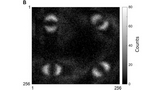 Entanglement quantistico: una nuova immagine storica!