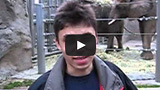 Questo è il primo video pubblicato su YouTube, e oggi compie 10 anni