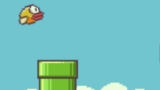 Flappy Bird: dal Vietnam un gioco che ha scalato le classifiche di App Store e Google Play