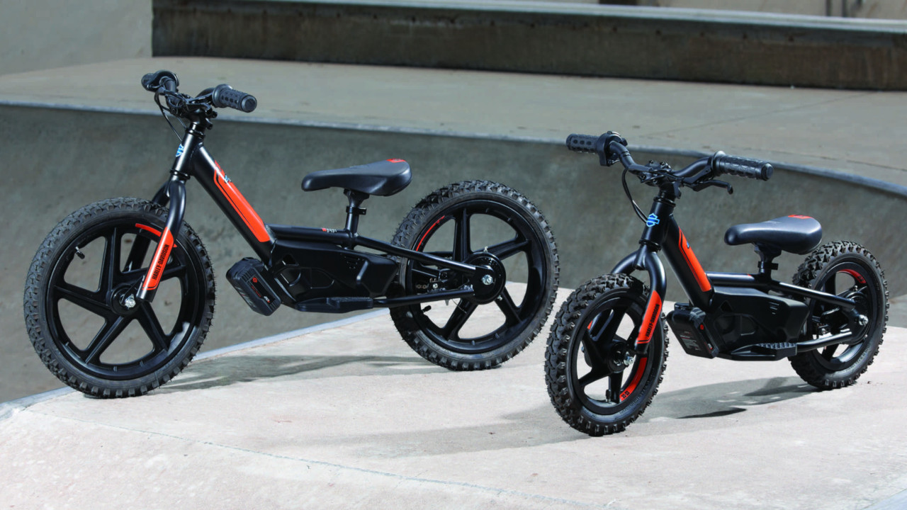 Harley davidson mini moto clearance
