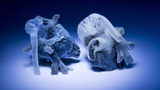 Una comune stampante 3D per creare tessuti molli e organi