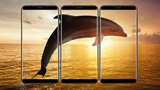 HOMTOM S8, dalla Cina arriva l'anti-Galaxy S8