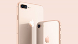 Scarsa la domanda per iPhone 8: Apple diminuisce la produzione