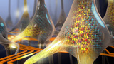 I ricercatori IBM creano i neuroni artificiali