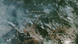Intelligenza artificiale e immagini satellitari possono aiutare a combattere la deforestazione in Amazzonia