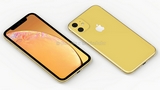 iPhone XR 2019: si pensa a nuove colorazioni