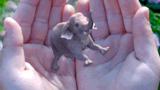 Alibaba investe 800 milioni di dollari nella startup di realtà aumentata Magic Leap