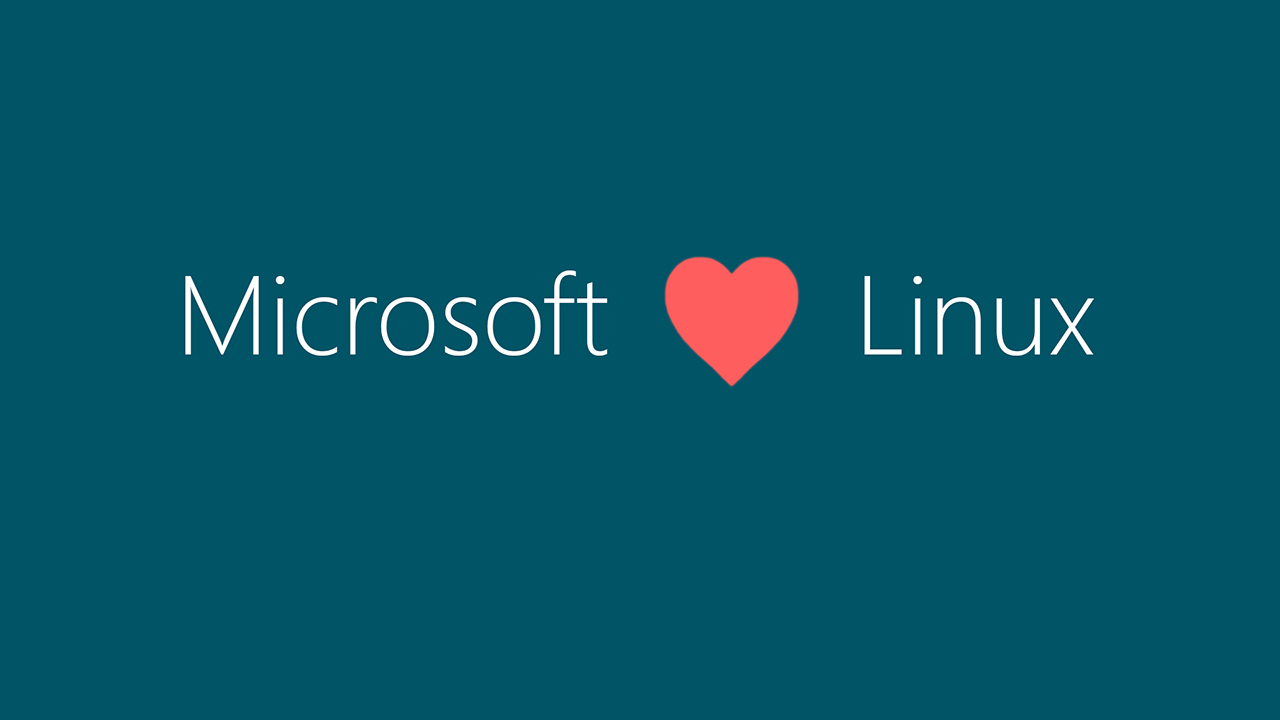 Microsoft ha risolto il bug che impediva il dual-boot tra Windows 11 e Linux