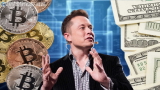 Elon Musk e Bitcoin: crolla il suo patrimonio e non è più il secondo uomo più ricco al mondo!