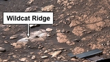 Il rover NASA Perseverance ha trovato composti organici su Marte, è presto per dire ''vita''