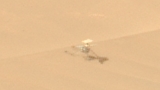 NASA Perseverance: la prima fotografia del drone NASA Ingenuity dopo il problema del volo 72