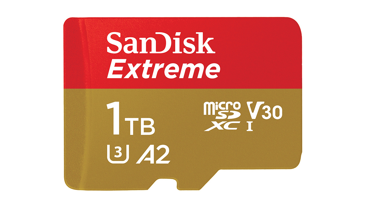 sandisk micromate sd