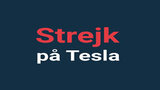 Musk ottiene una piccola vittoria in Svezia (ma potrebbe lo stesso perdere la guerra) 