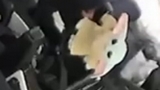 Baby Yoda è a bordo della capsula della missione SpaceX Crew-1