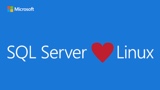 Microsoft conferma l'arrivo di SQL Server per Linux