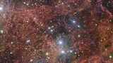 L'ESO, per Halloween, mostra un'immagine della supernova delle Vele