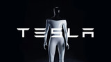 Tesla a caccia di talenti per il progetto Optimus: nel mirino progettisti ed ingegneri