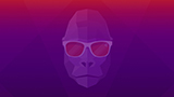 Ubuntu 20.10 Groovy Gorilla disponibile al download: le novità e come aggiornare