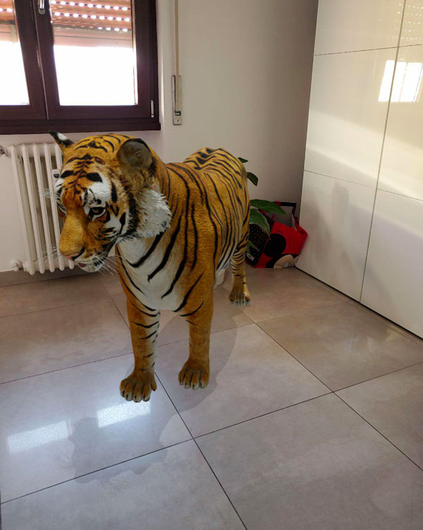 Animali in 3D con Google: come far apparire gli animali in salotto (o in  giardino)