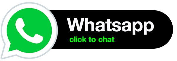 WhatsApp svela in chiaro il numero di 300.000 utenti su Google. La ...
