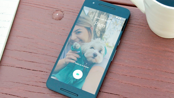 101016_google_duo_app.jpg (162646 bytes)