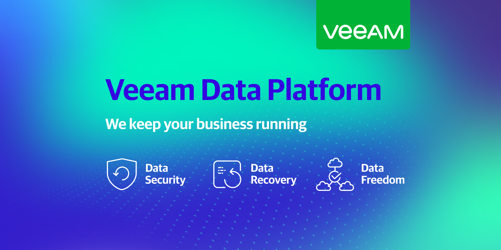 Veeam backup platform