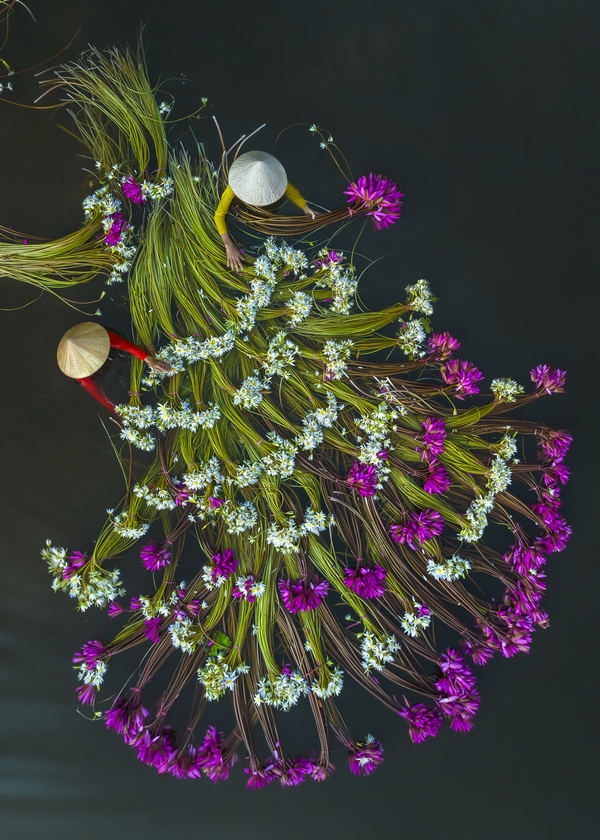 skypixel