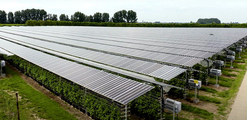 Agrovoltaico