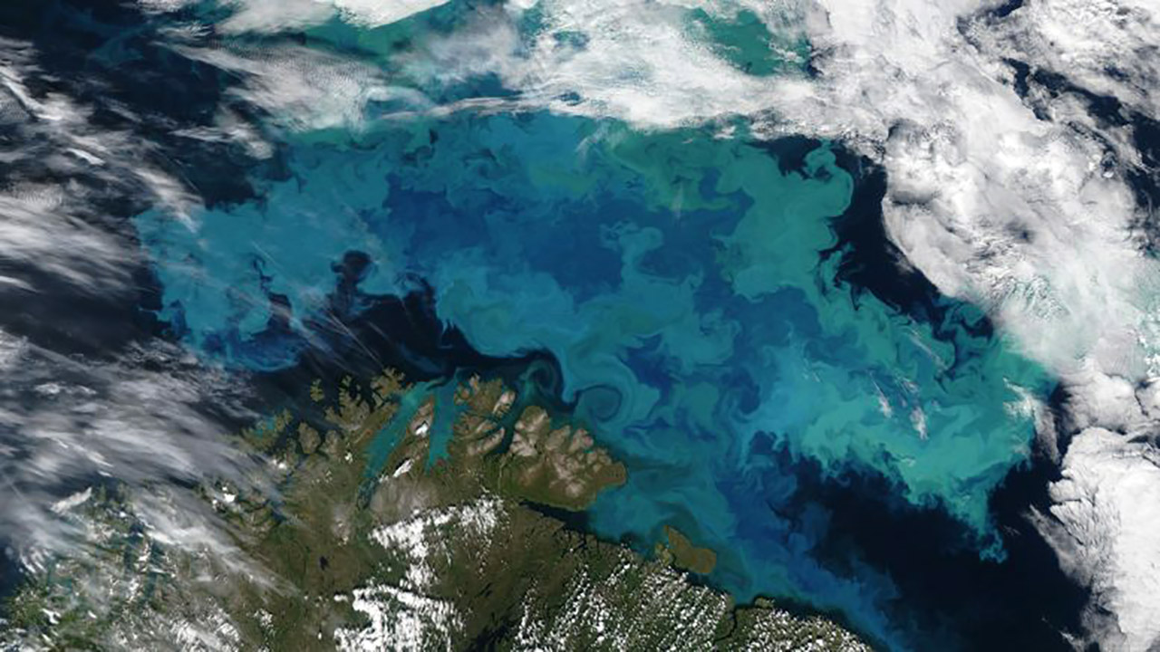 Mare di Barents