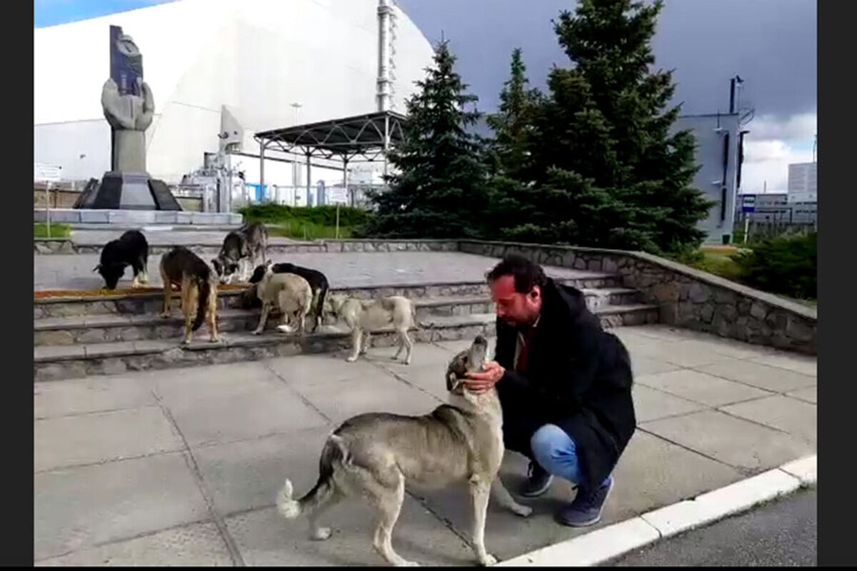 cani Černobyl'