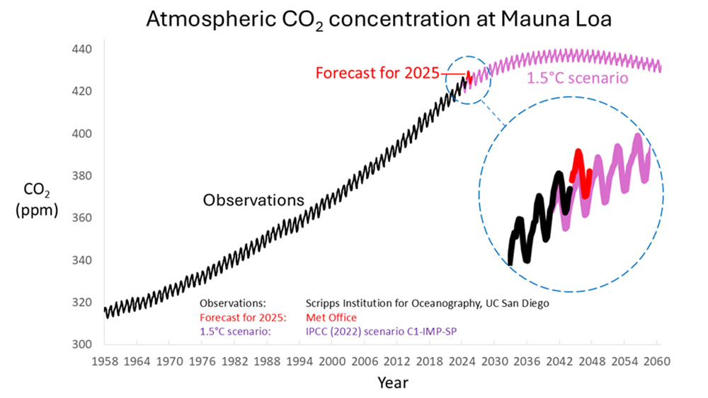 CO2 2024