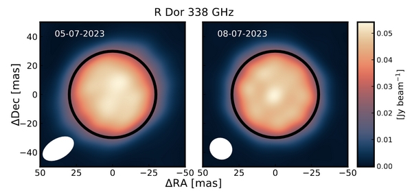ESO-ALMA R Doradus