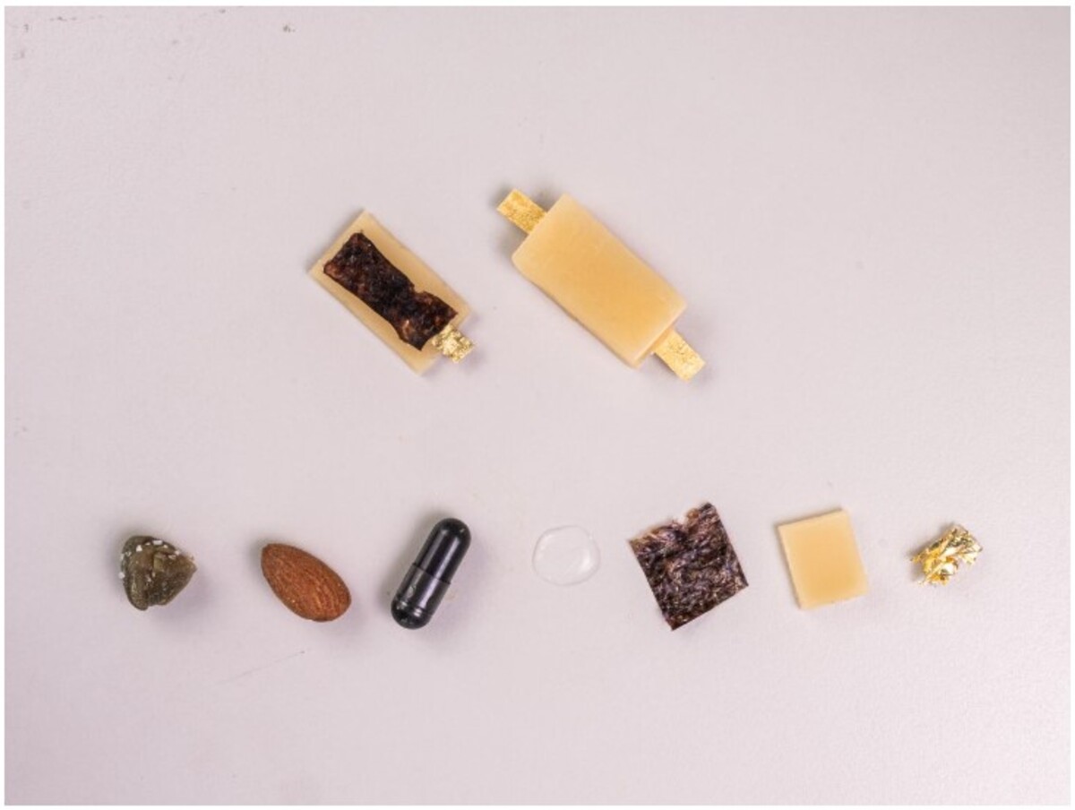 Batteria ricaricabile e commestibile