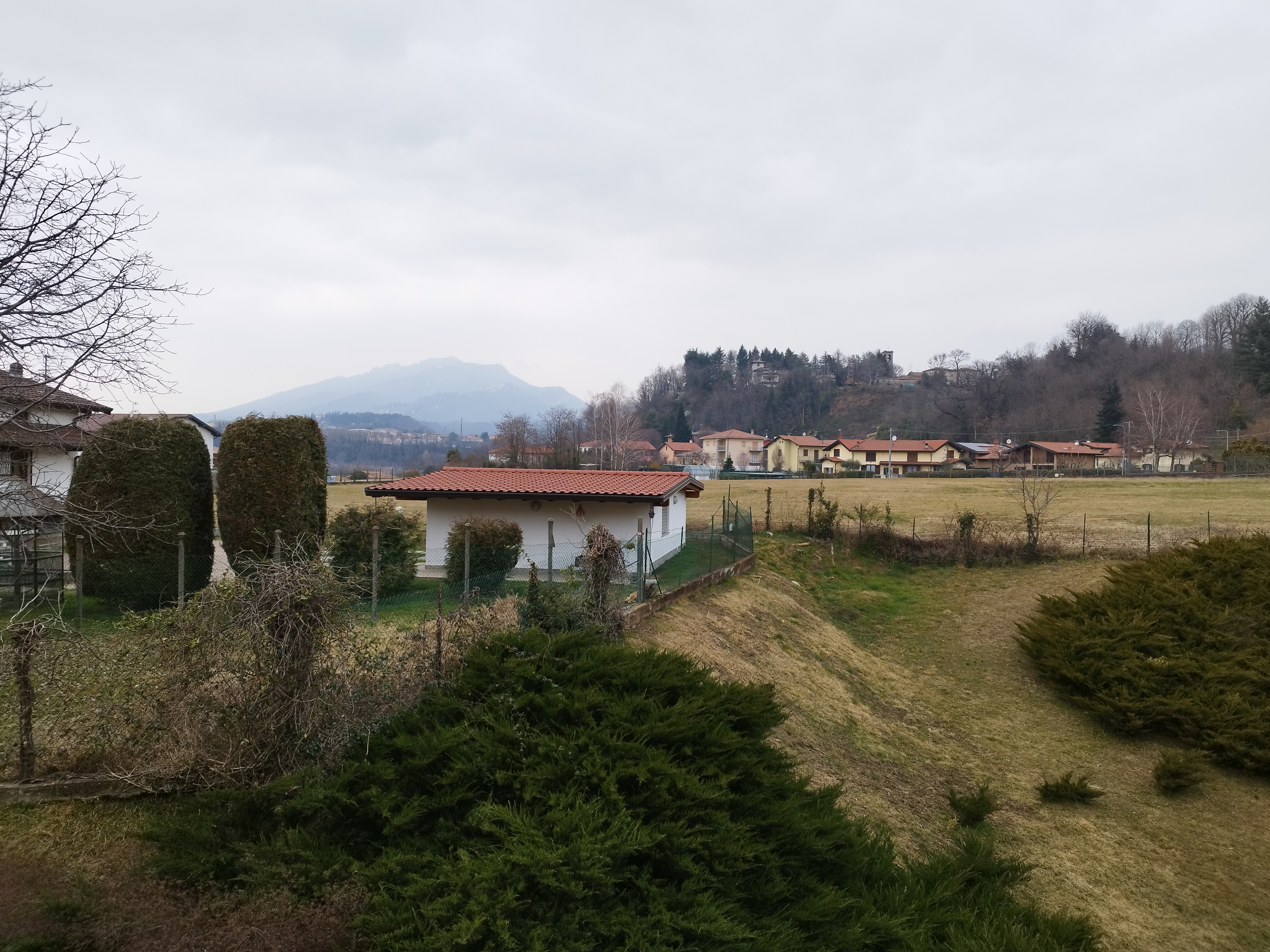 + Immagine ingrandita +