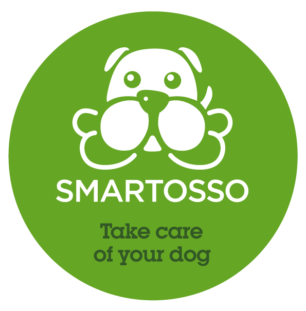 Logo Smartosso