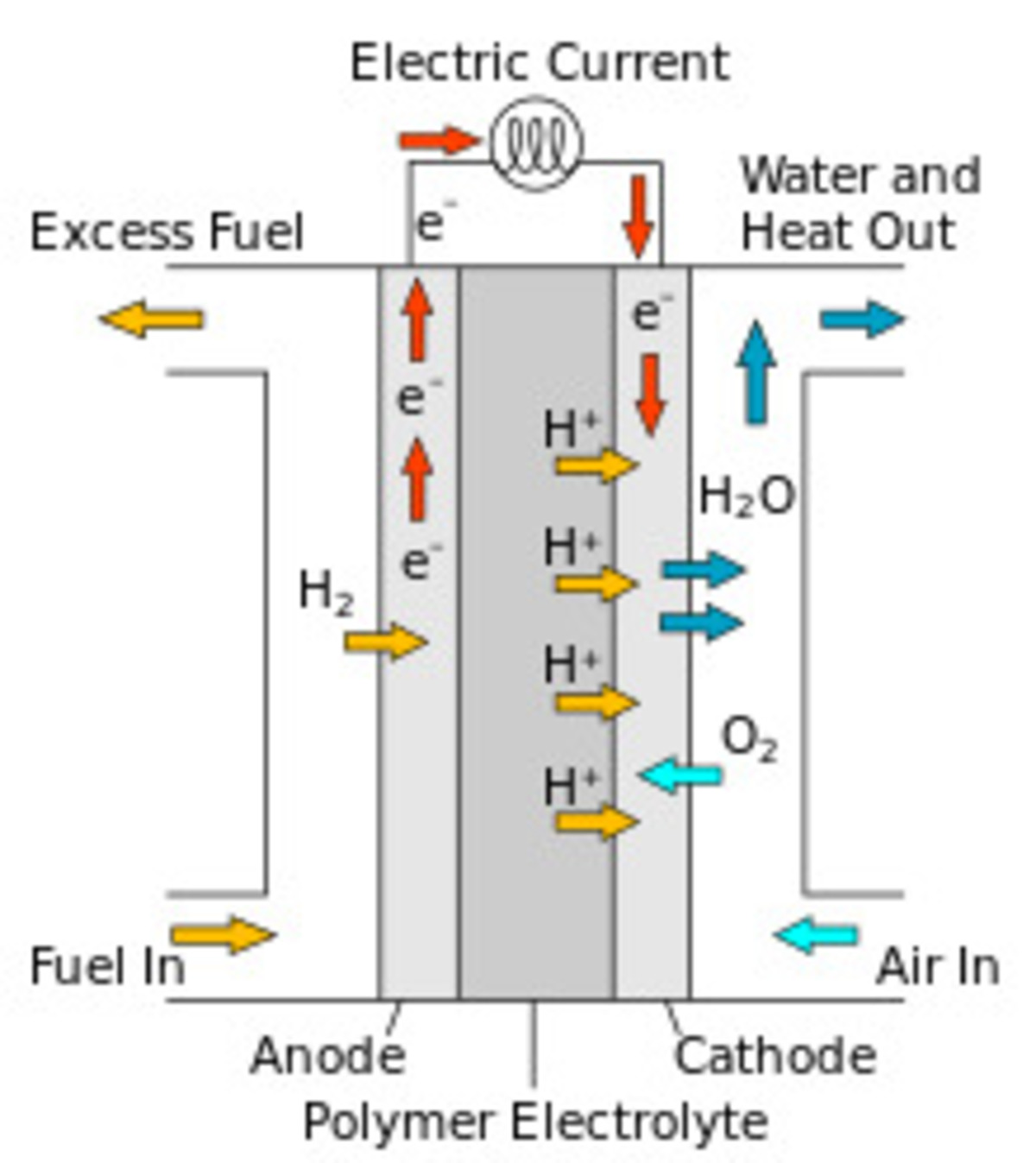 PEM celle combustibili idrogeno