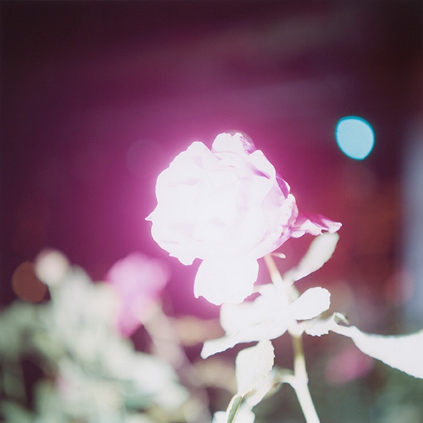 Rinko Kawauchi