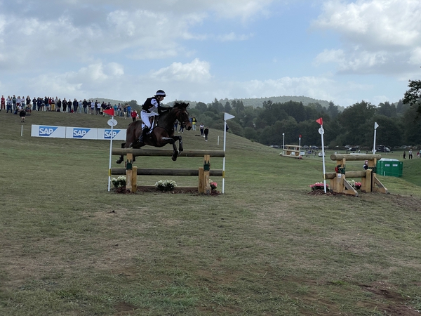 SAP Eventing 2022