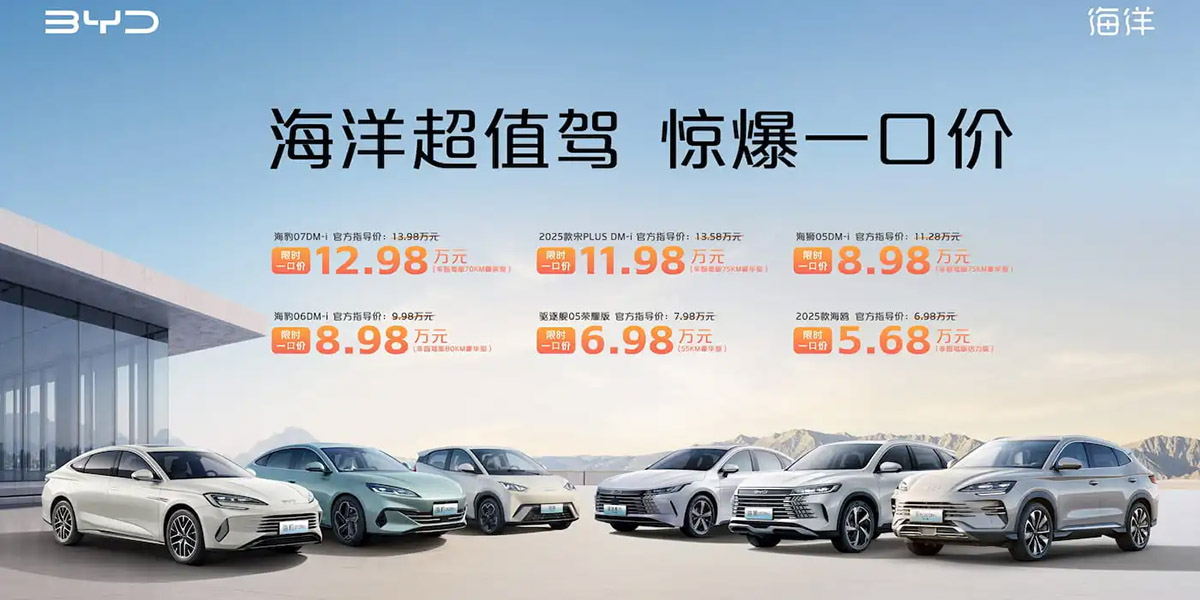 BYD Sale
