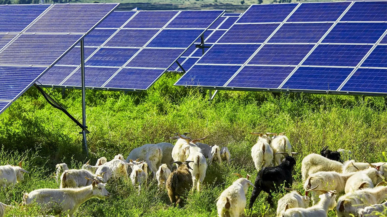 Garnet Mesa Solar