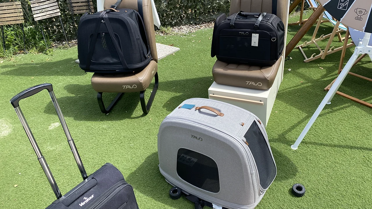 Tavo Pet Safety Days