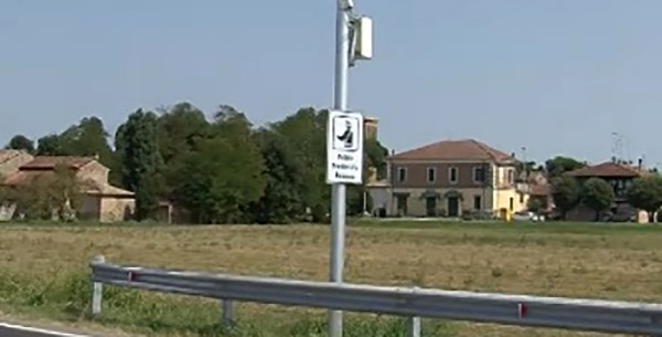 Fleximan