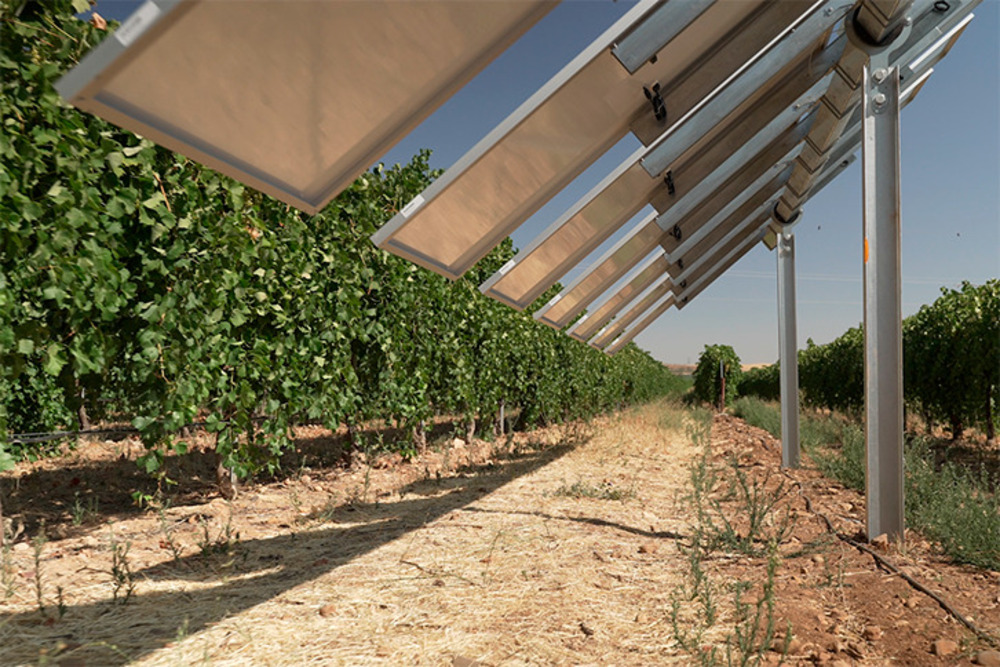 Wine solar project