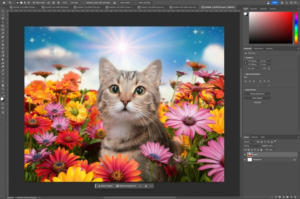 adobe