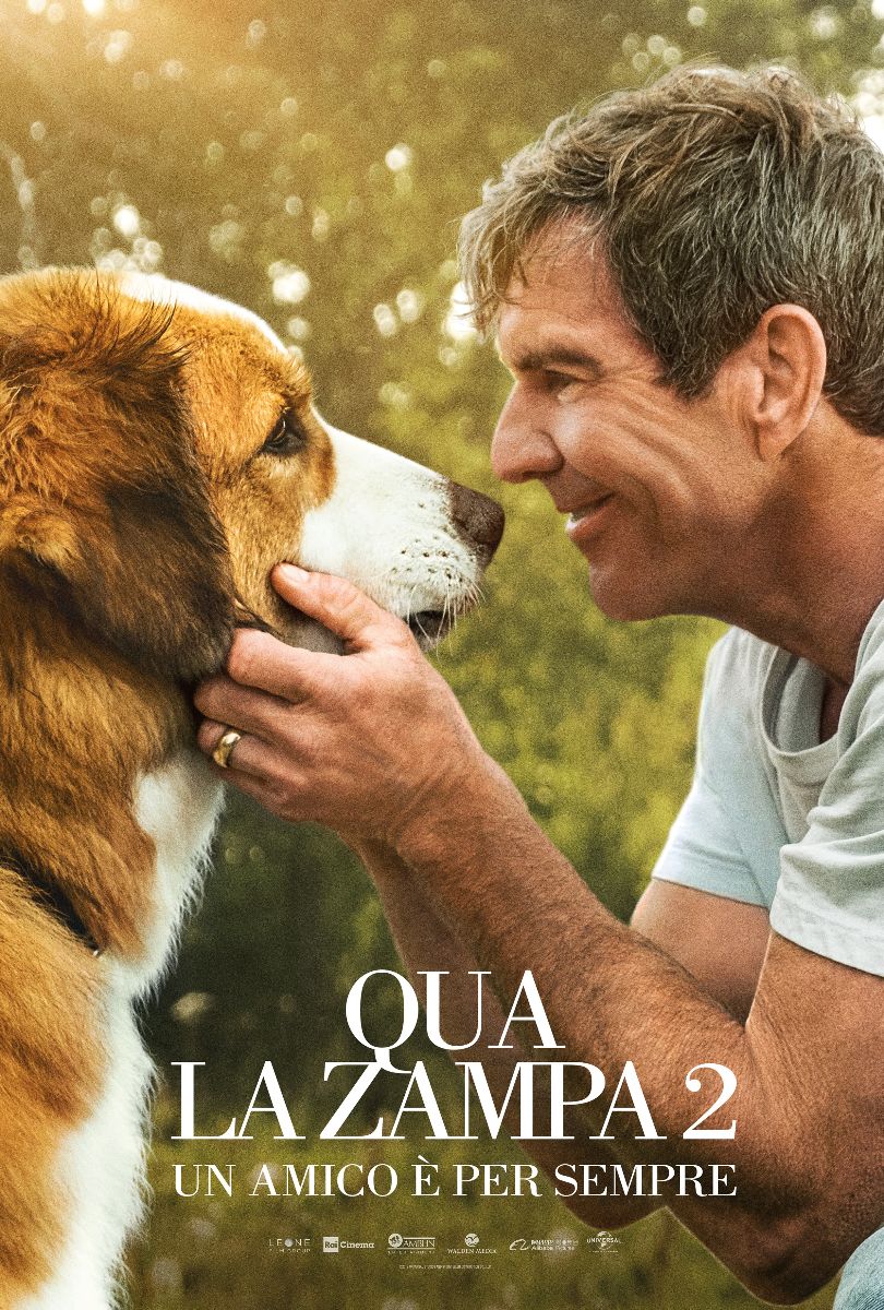 Qua La Zampa 2 - Amazon Prime Video
