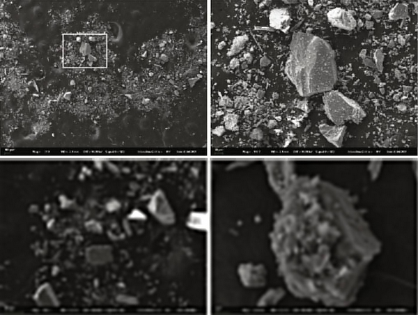 cina asteroide