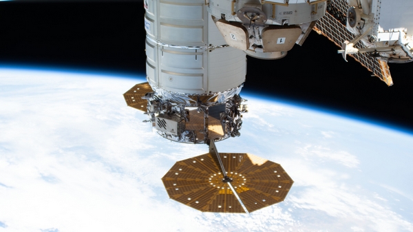 cygnus