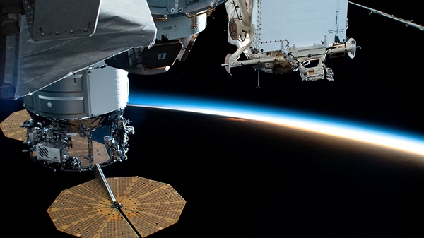 cygnus