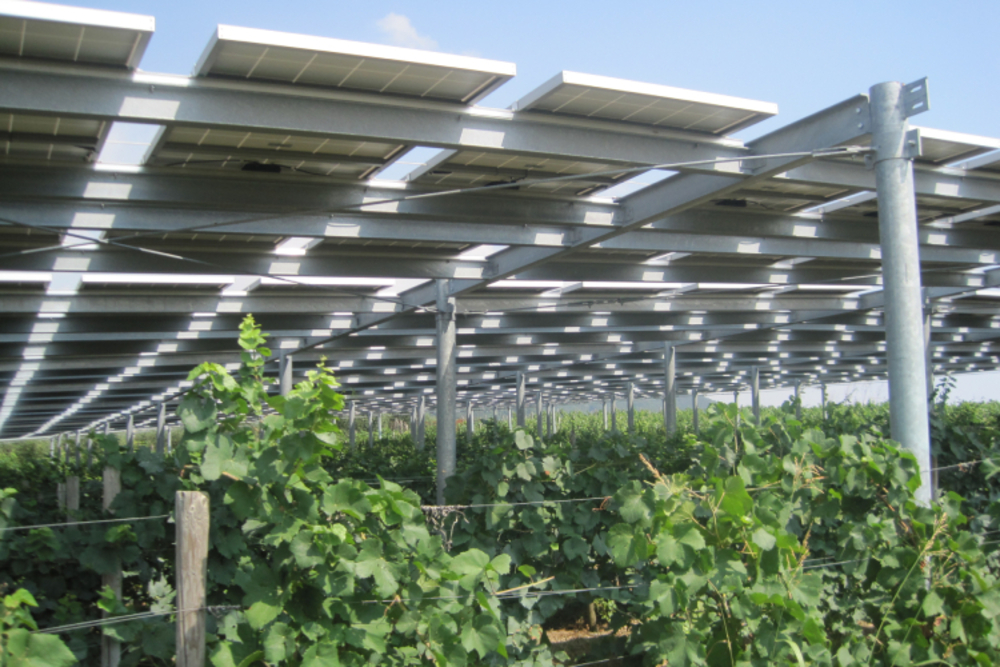 Agro solar in Italy